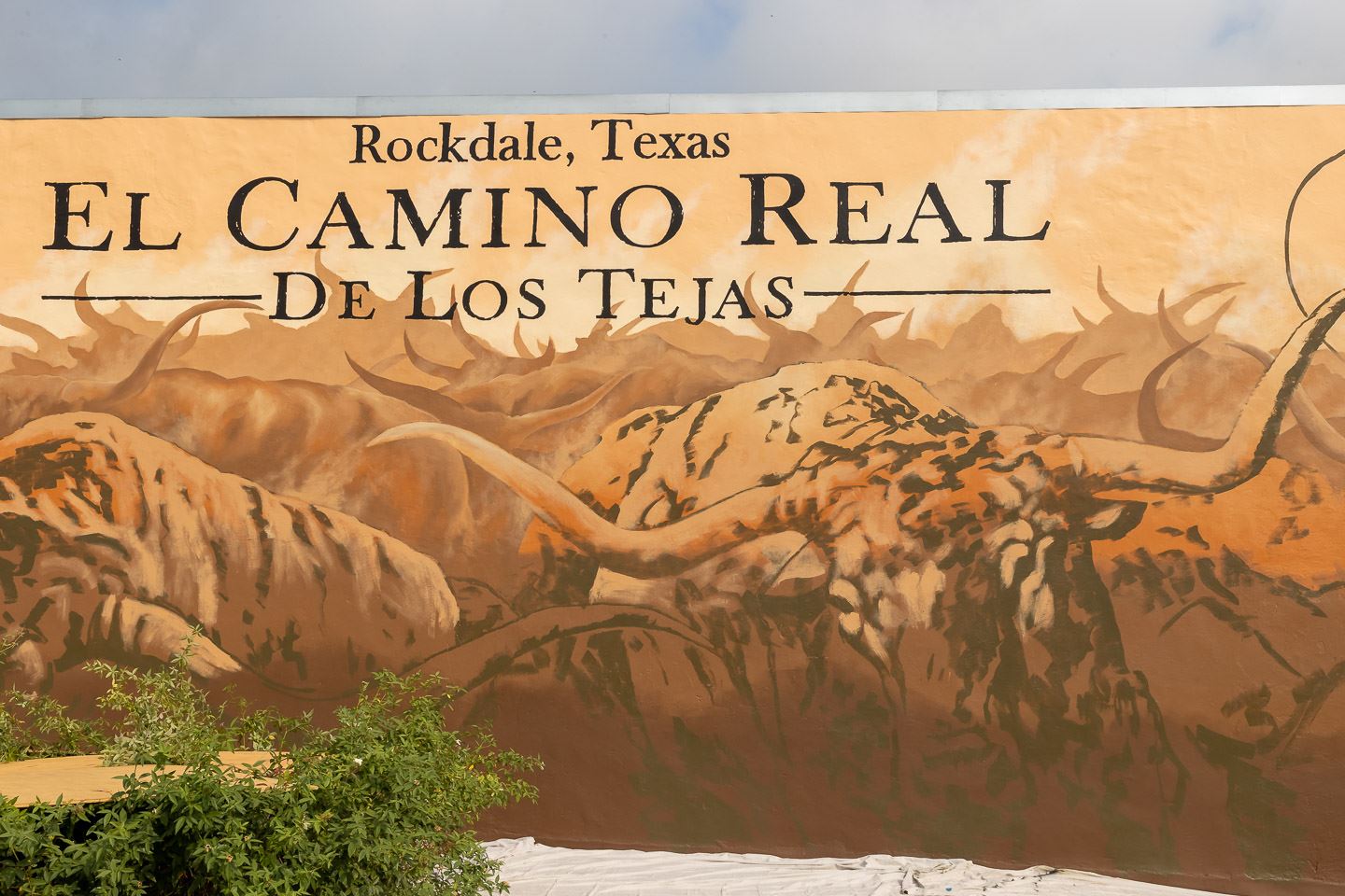 Rockdale Mural September 2, 2021-3789